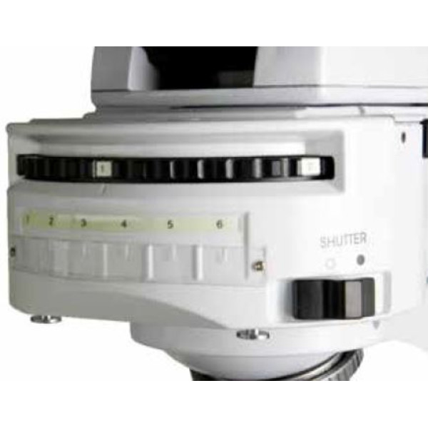 Euromex Microscópio iScope, IS.3152-PLFi/6, bino