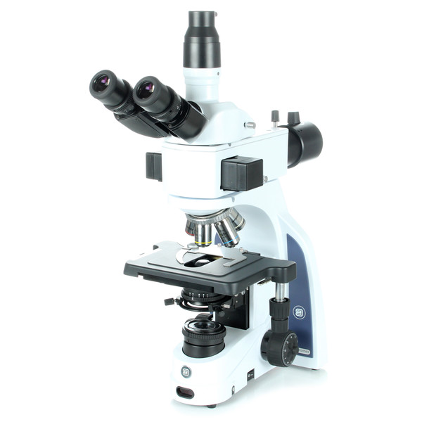 Euromex Microscópio iScope IS.3153-EPLi/LG, trino