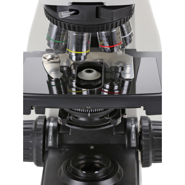 Euromex Microscópio DX.1153-APLi, trino, 40x - 1000x, fluarex