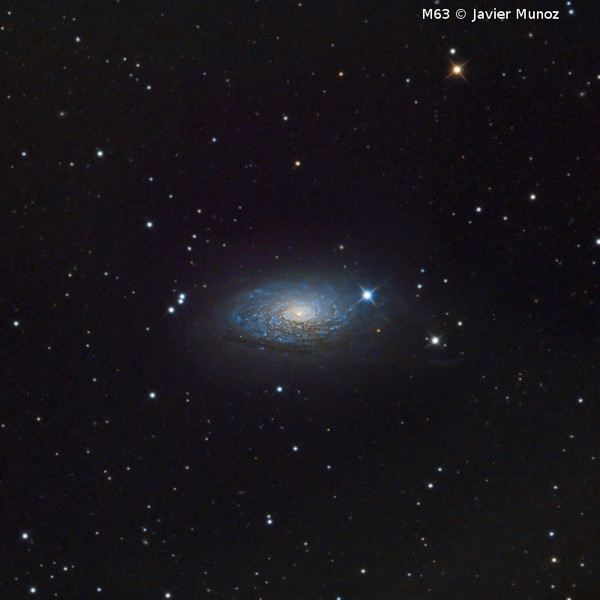 Omegon Telescópio RC 154/1370 EQ570DX