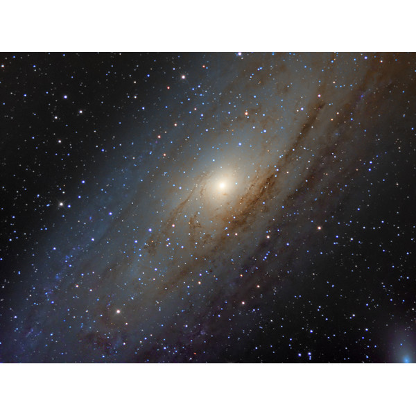 Omegon Telescópio Pro Astrograph 254/1016 GEM45G LiteRoc