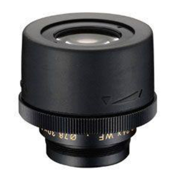 Nikon Ocular grande angular 24x/30x MC
