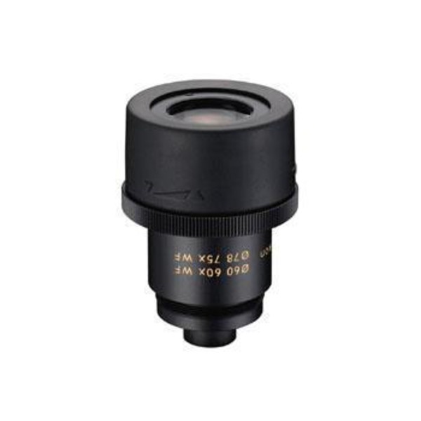 Nikon Ocular grande angular 40x/60x/75x MC