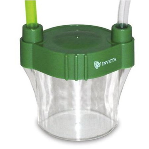 UKGE Taça de observação