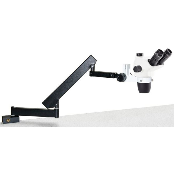Euromex NZ.1703-AP, NexiusZoom EVO, braço articulado de 6,5x a 55x com pinça de mesa, sem Iluminação, trino