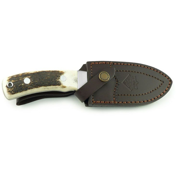 Minox Binóculo Conjunto BL 8x56 HD Javali