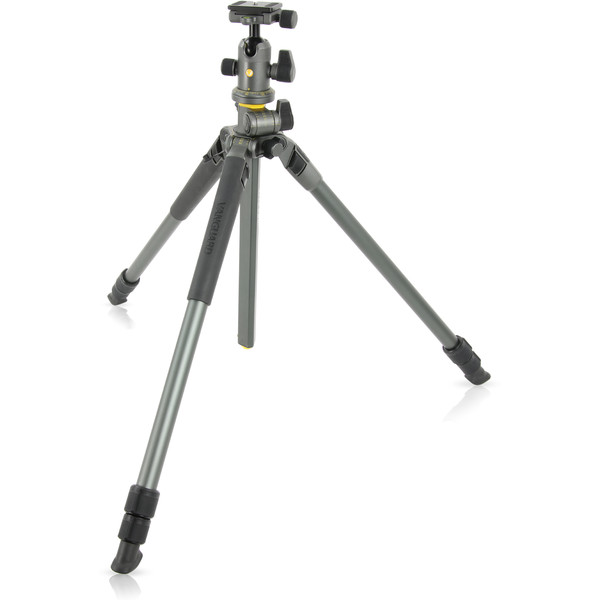 Vanguard Tripé de alumínio Alta Pro 2+ 263AB100