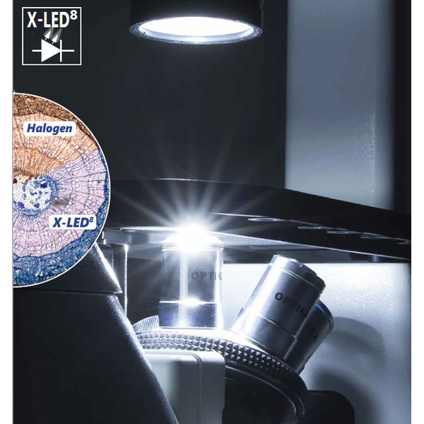 Optika Microscópio IM-3FL4-SWIV, trino, inverso, FL-HBO, filtro B&G, IOS LWD U-PLAN F, 100x-400x, CH, IVD