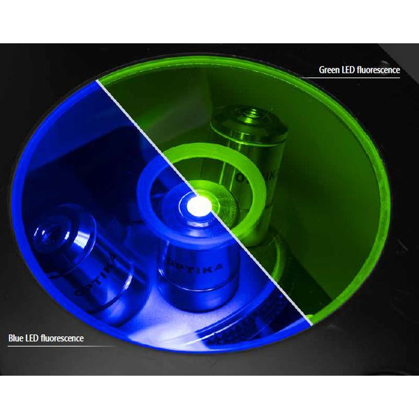 Optika Microscópio IM-3FL4-SWIV, trino, inverso, FL-HBO, filtro B&G, IOS LWD U-PLAN F, 100x-400x, CH, IVD