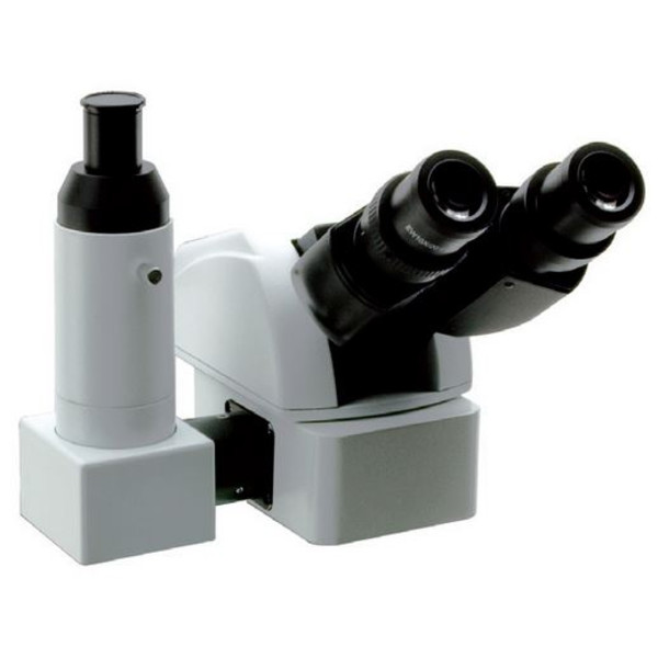 Optika Cabeça Ergo M-1013, trino