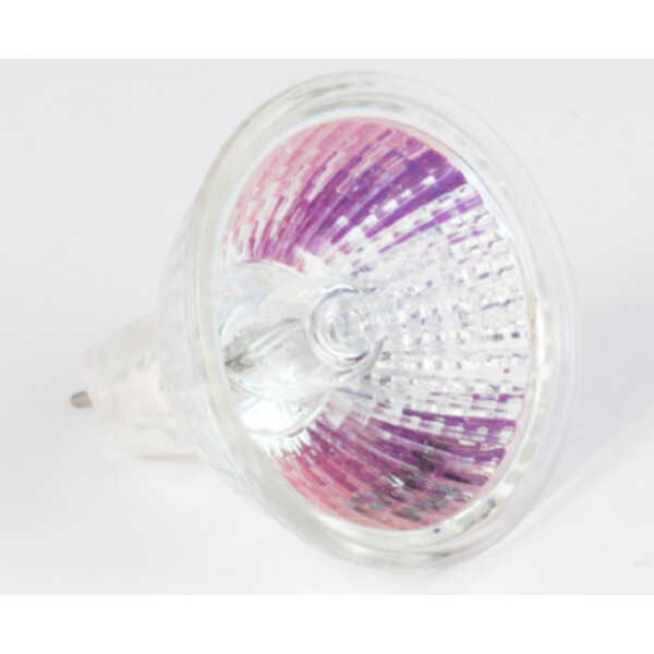 Motic Lâmpada de substituição de halogéneo 12V/20W, Luz trasmitida, (suporte R2GG) (SMZ-161)