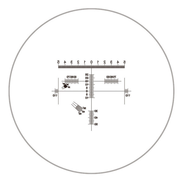 Motic Ocular de micrómetro WF10X/23mm, analisador de proporções diamantadas