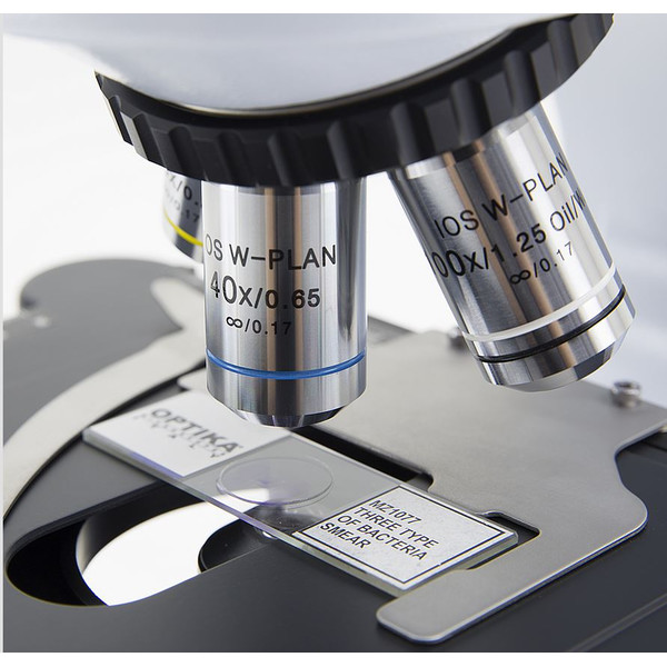 Optika Microscópio B-510-5, discussion, trino, 5-head, IOS W-PLAN, 40x-1000x, EU