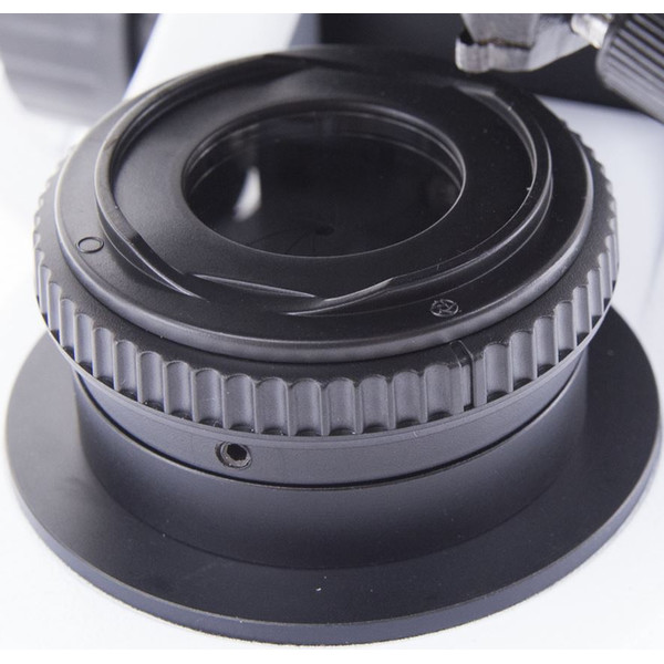 Optika Microscópio B-510-5IVD, trino, 5-head, W-PLAN IOS, 40x-1000x, IVD