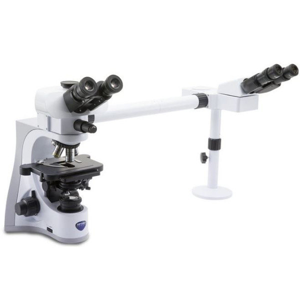 Optika Microscópio B-510-2IVD, trino, 2-head, W-PLAN IOS, 40x-1000x, IVD