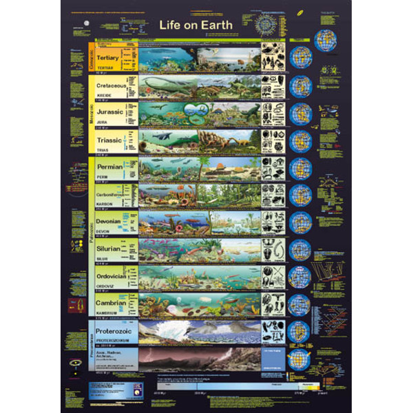 Planet Poster Editions Poster Life on Earth
