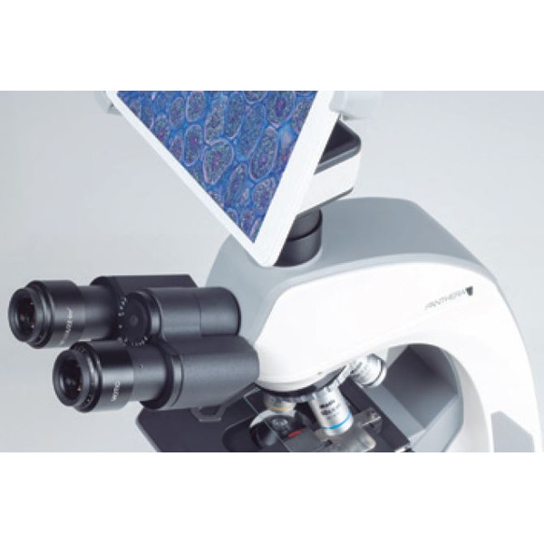Motic Câmera Câmara BTX8, 5.0MP, 8