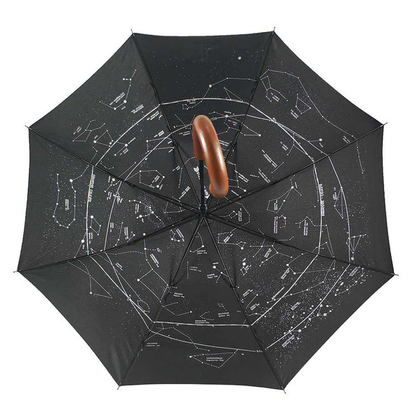 Levenhuk Guarda-chuva Star Sky Z10