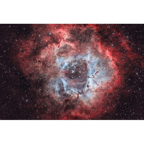 OPT Filtro de banda estreita Triad Ultra Quad-Band 2"