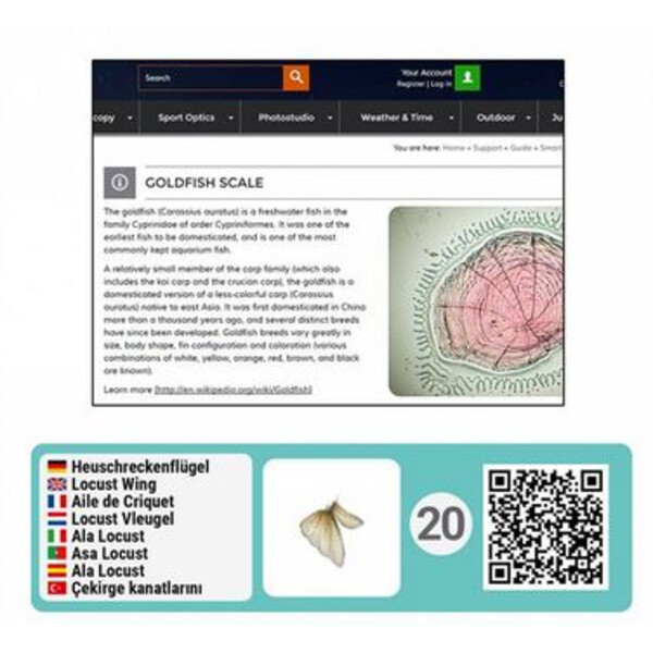 Bresser Junior Conjunto de acessórios para Microscópios inteligentes com códigos QR