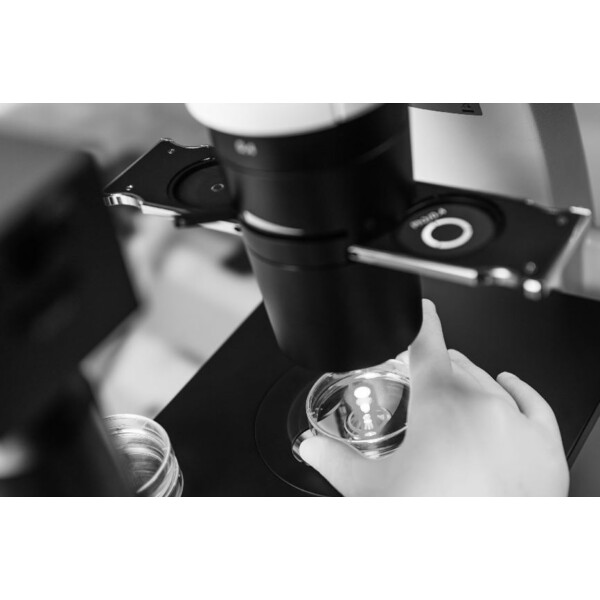 ZEISS Microscópio invertido Primovert trino PH1, 40x-400x