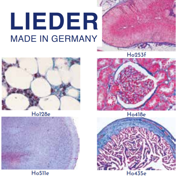 LIEDER Histologia normal do ser humano, grande série especial, 100 preparações (coloração principalmente com hematoxilina-eosina)