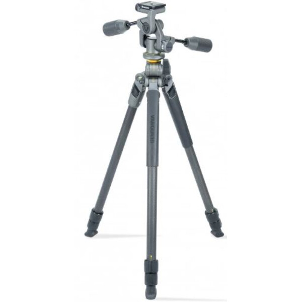 Vanguard Tripé de carbono Alta Pro 2+ 263CP