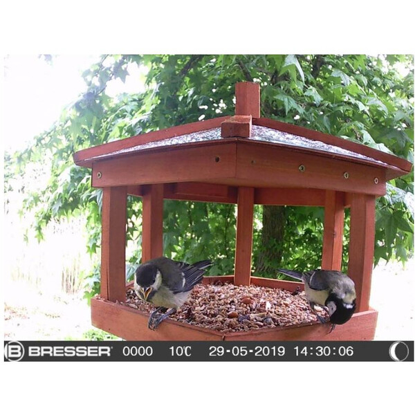 Bresser Câmera foto selvagem SFC-1 para animais pequenos e aves.