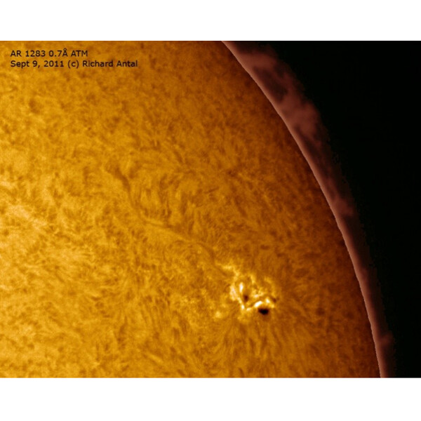 DayStar Telescópio solar ST 127/1462 SR Carbon OTA