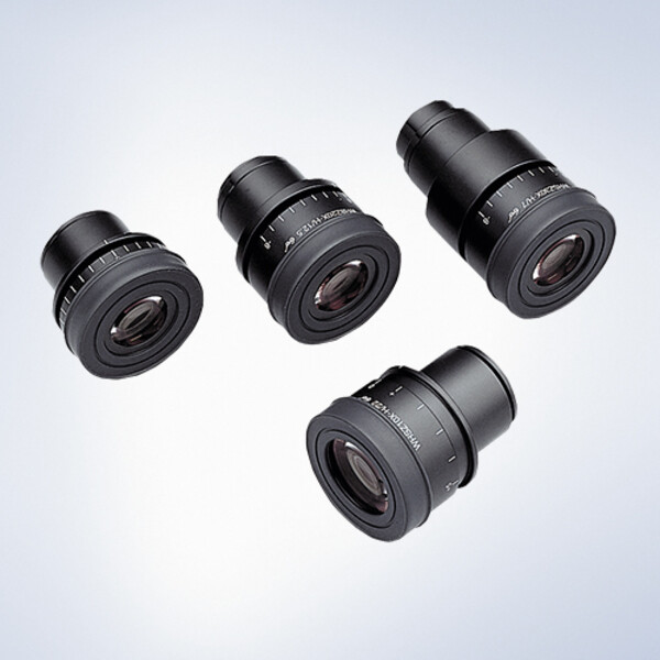Evident Olympus Ocular WHN10X-H-1" 8
