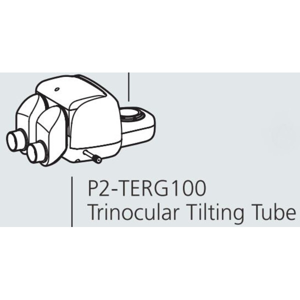 Nikon Cabeça estereoscópica P2-TERG 100 trino ergo tube (100/0 : 0/100), 0-30°
