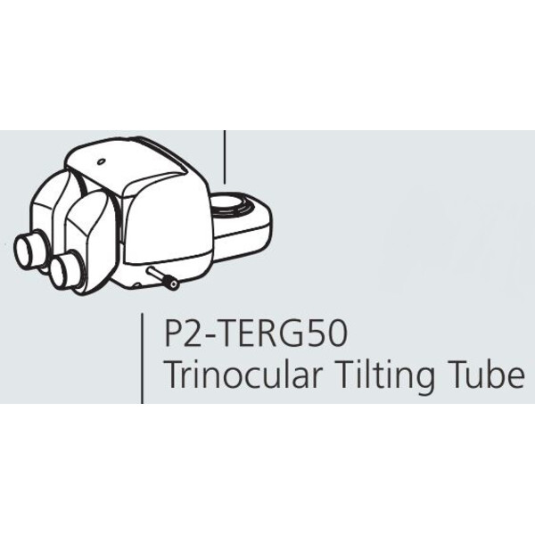 Nikon Cabeça estereoscópica P2-TERG 50 trino ergo tube (100/0 : 50/50), 0-30°