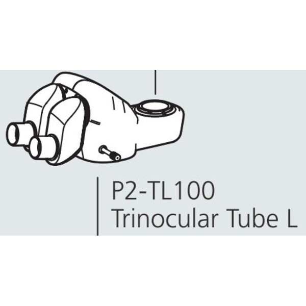 Nikon Cabeça estereoscópica P2-TL100 Trino Tube 100 (100/0 : 0/100)