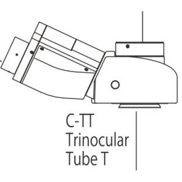 Nikon Tubo Trinocular C-TT T
