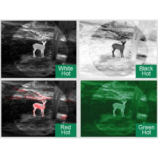 Guide Dispositivo de imagem térmica Track IR19 Pro