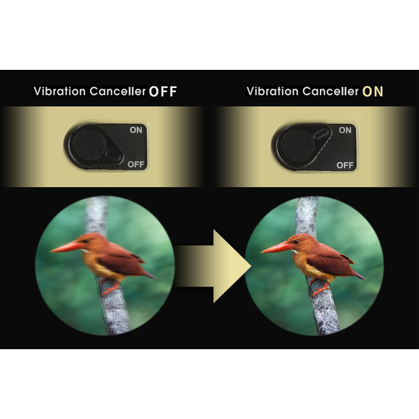 Vixen Binóculo com estabilizador de imagem H12x30 Atera