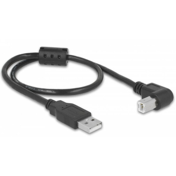 PegasusAstro Conjunto de cabos USB 2x USB2.0 Tipo B 50cm