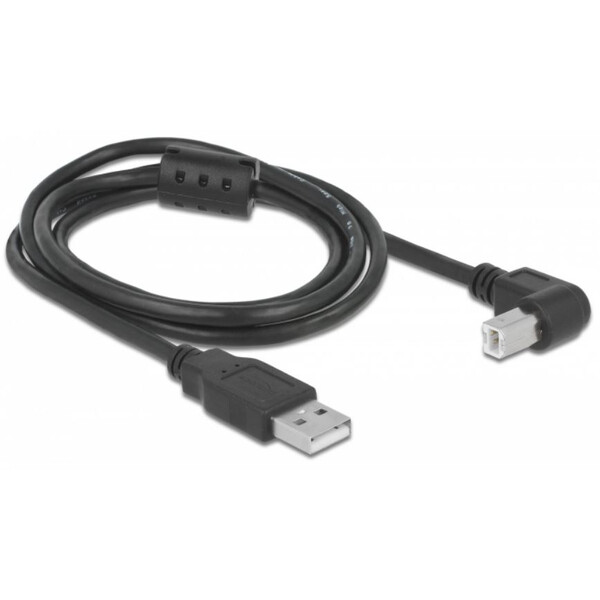 PegasusAstro Conjunto de cabos USB 2x USB2.0 Tipo B 1m