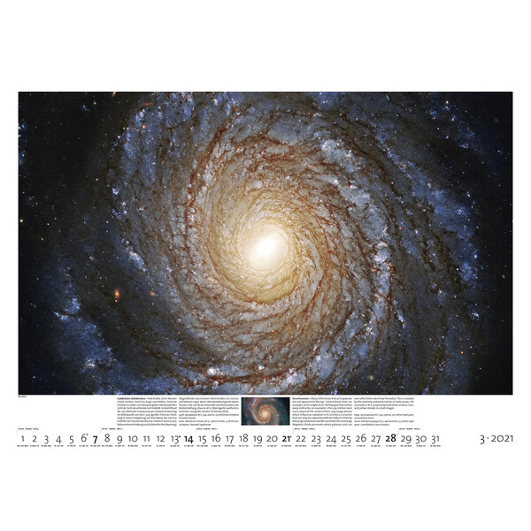 Palazzi Verlag Calendário Sternzeit 2021