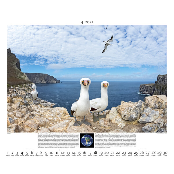 Palazzi Verlag Calendário Planet Erde 2021