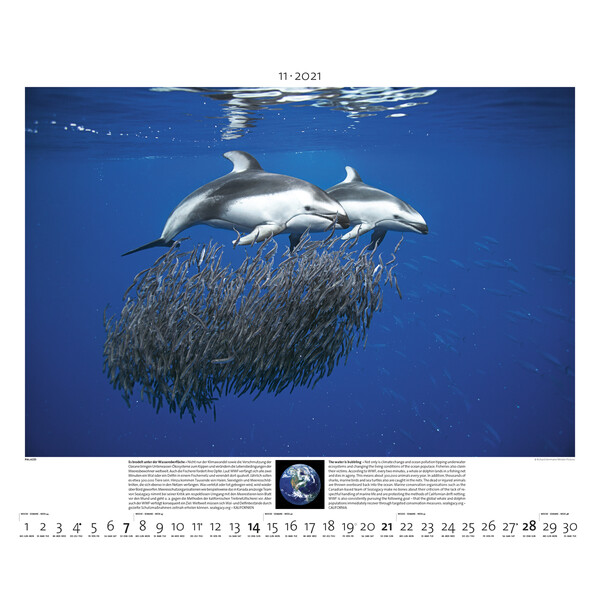 Palazzi Verlag Calendário Planet Erde 2021