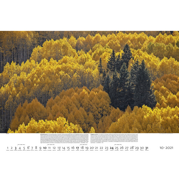 Palazzi Verlag Calendário Florestas da Terra 2021