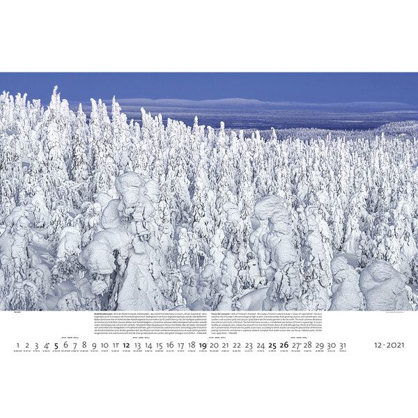 Palazzi Verlag Calendário Florestas da Terra 2021
