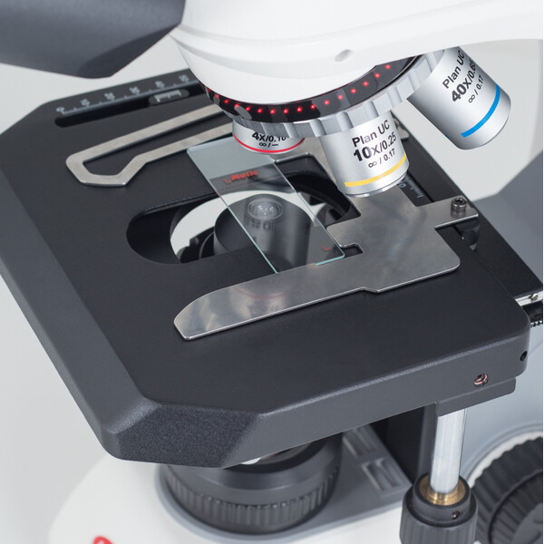 Motic Microscópio Panthera C2, bino, infinito, plano, achro, 40x-1000x, Halogen/LED