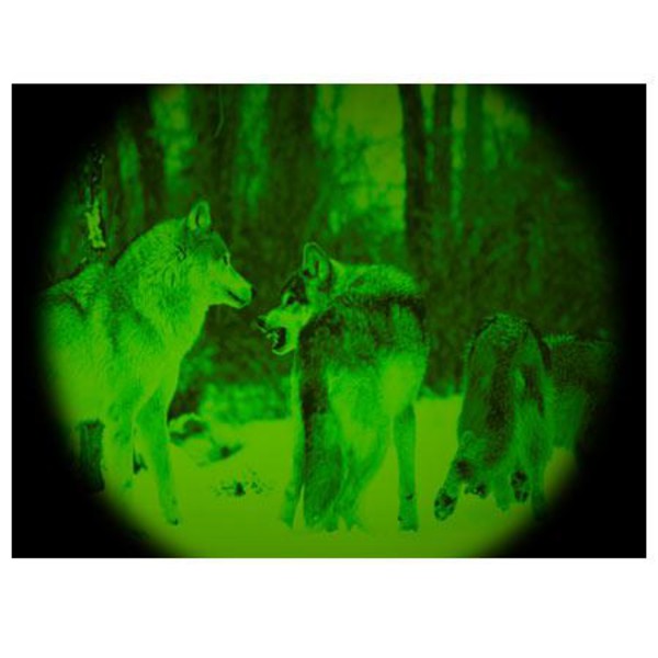 ATN Aparelho de visão noturna Night Storm-2IA 3,5x50, preto