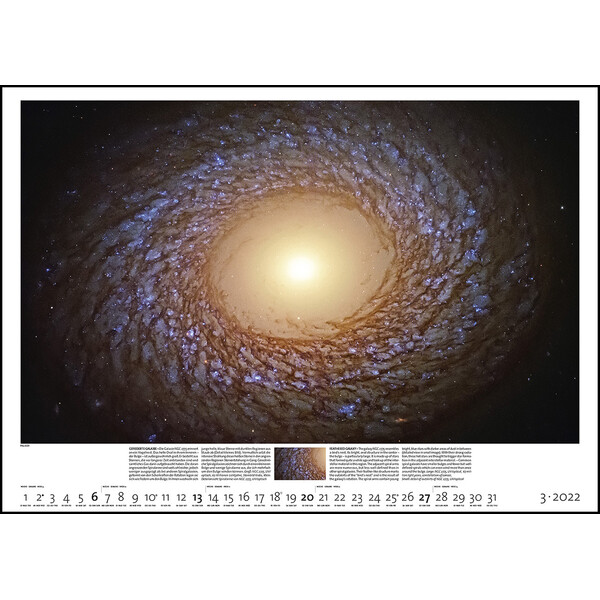 Palazzi Verlag Calendário Sternzeit 2022