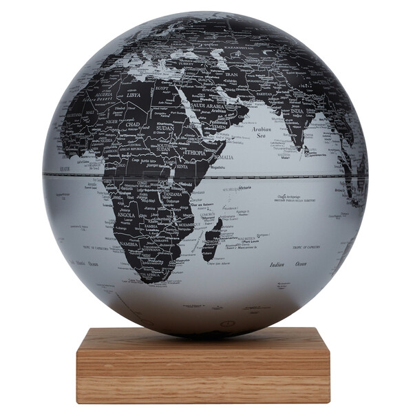 emform Globo Platon Oak Matt Silver 30cm