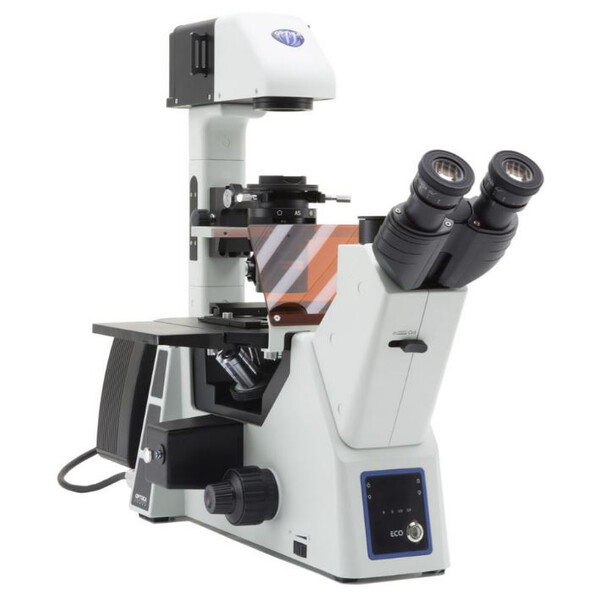 Optika Microscópio invertido IM-5FLD, FL, trino, inverso, 10x24mm, AL/DL, objectivas LED 5W, 8W w.o.