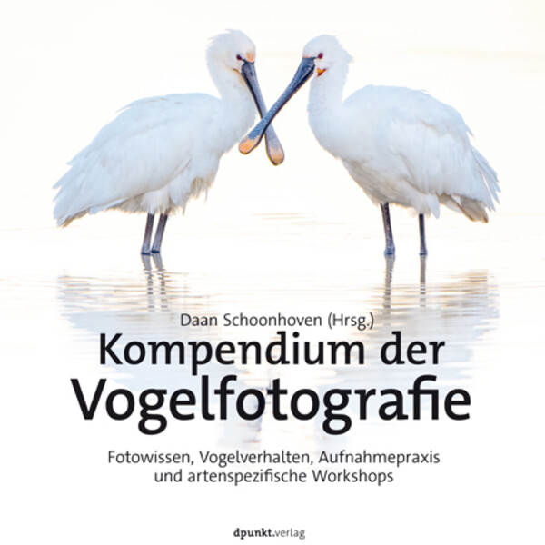 dpunkt Compêndio de fotografia de aves
