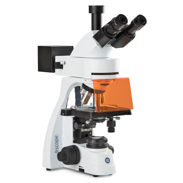 Euromex Microscópio Mikroskop BS.3153-PLFi, trino, 40x-1000x